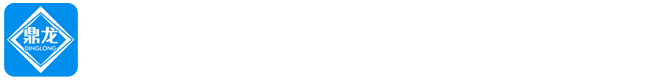 广东鼎龙机动车服务有限公司